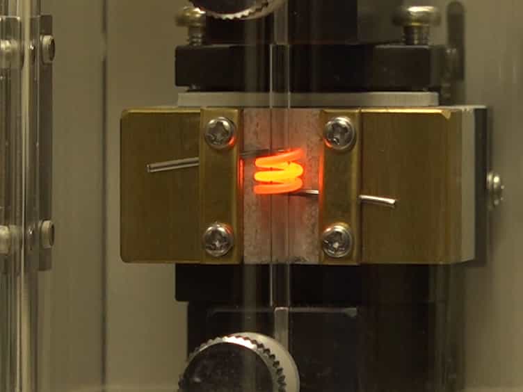 Application of Electrophysiology Measurement to Study the Activity of Electro-Neutral Transporters