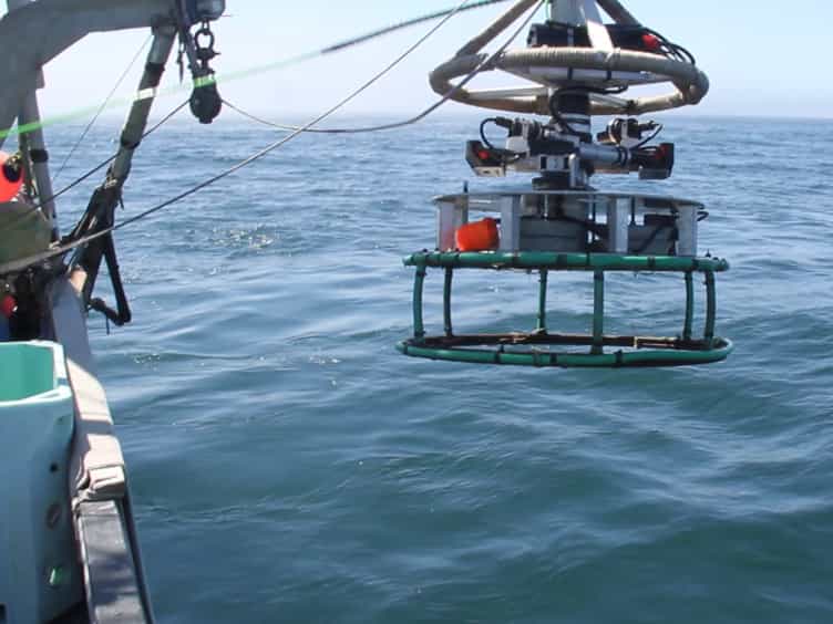 Development of New Methods for Quantifying Fish Density Using Underwater Stereo-video Tools