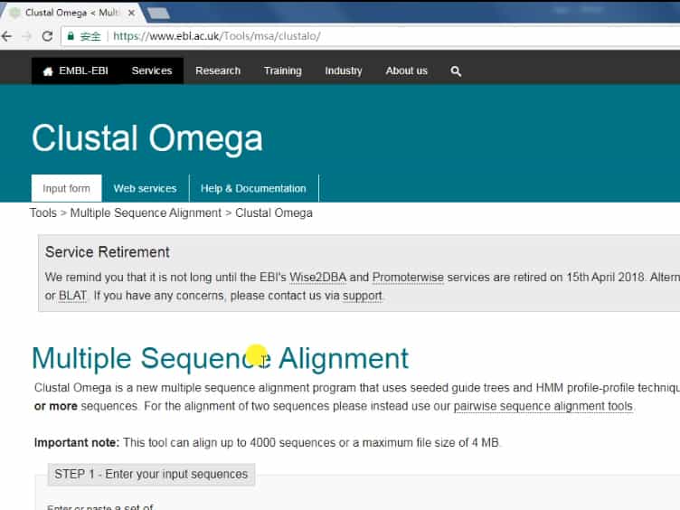 Using Phylogenetic Analysis to Investigate Eukaryotic Gene Origin
