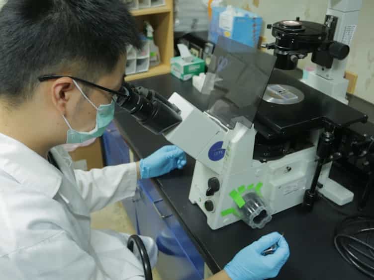 The Establishment of a Lung Colonization Assay for Circulating Tumor Cell Visualization in Lung Tissues