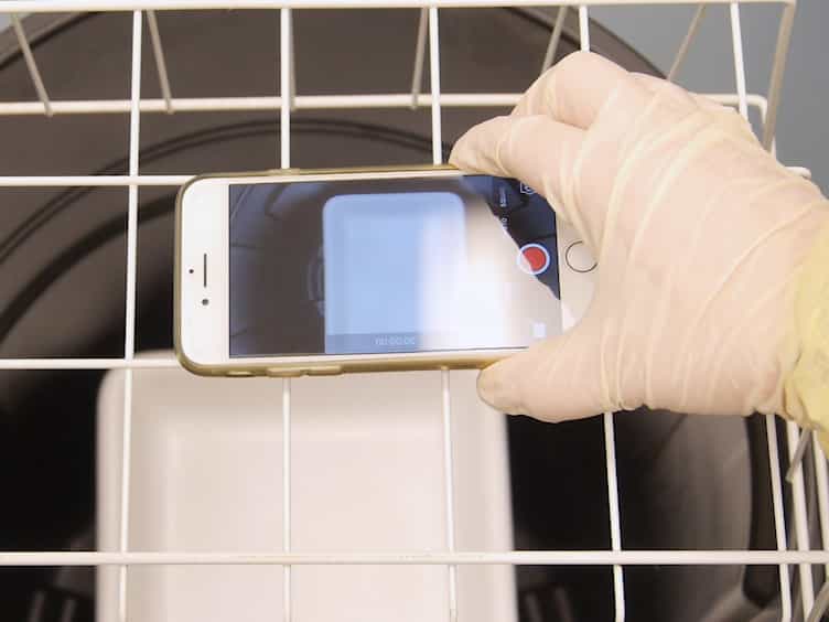 A Simple and Low-cost Assay for Measuring Ambulation in Mouse Models of Muscular Dystrophy