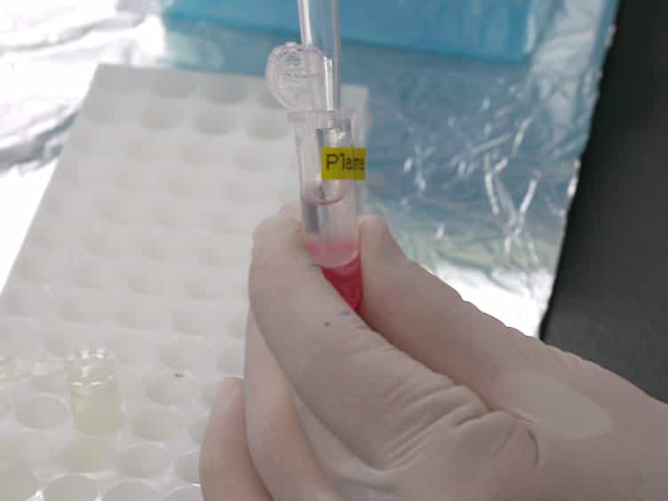 Absolute Quantification of Plasma MicroRNA Levels in Cynomolgus Monkeys, Using Quantitative Real-time Reverse Transcription PCR