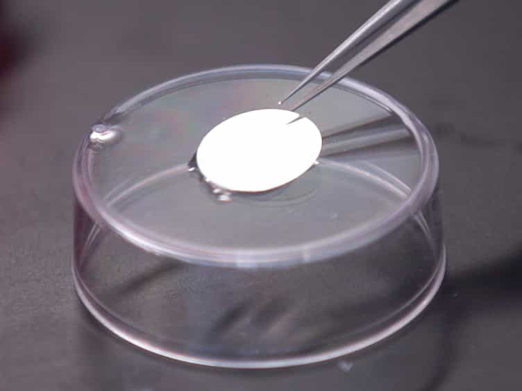 Fabricating Optical-quality Glass Surfaces to Study Macrophage Fusion