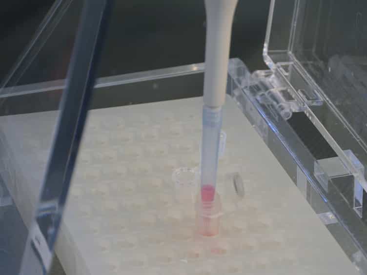 Metabolic Labeling and Profiling of Transfer RNAs Using Macroarrays