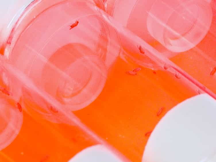 Combining Quantitative Food-intake Assays and Forcibly Activating Neurons to Study Appetite in Drosophila