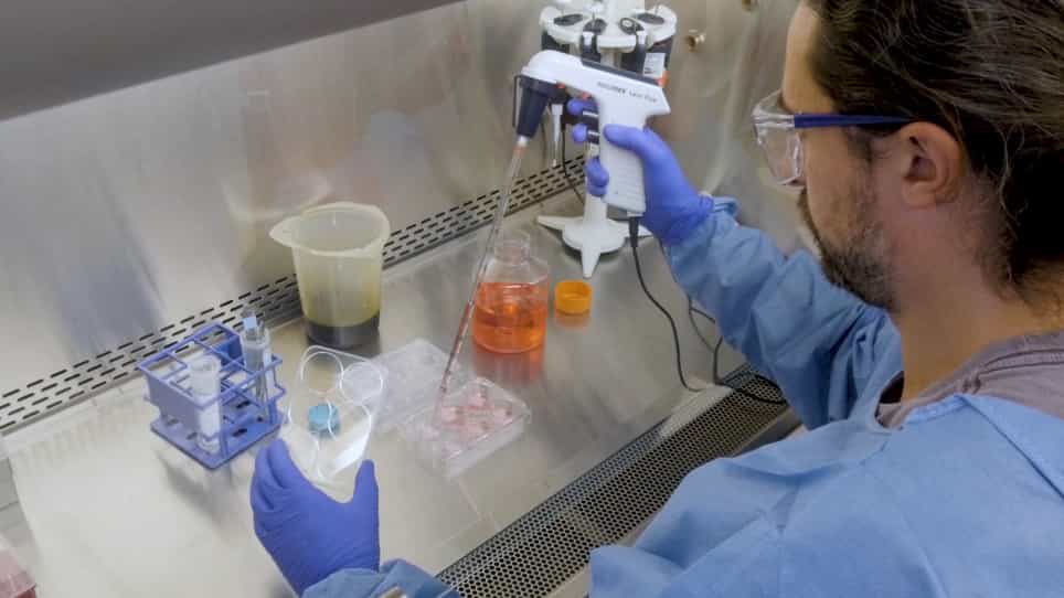 Ex Vivo Infection of Human Lymphoid Tissue and Female Genital Mucosa with Human Immunodeficiency Virus 1 and Histoculture