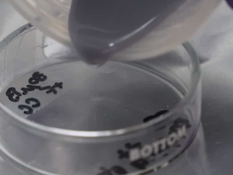 Fabrication and Characterization of Optical Tissue Phantoms Containing Macrostructure