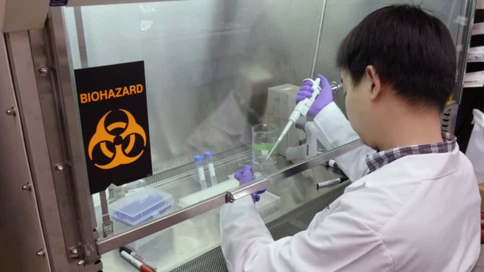Genetic Engineering of Primary Mouse Intestinal Organoids Using Magnetic Nanoparticle Transduction Viral Vectors for Frozen Sectioning