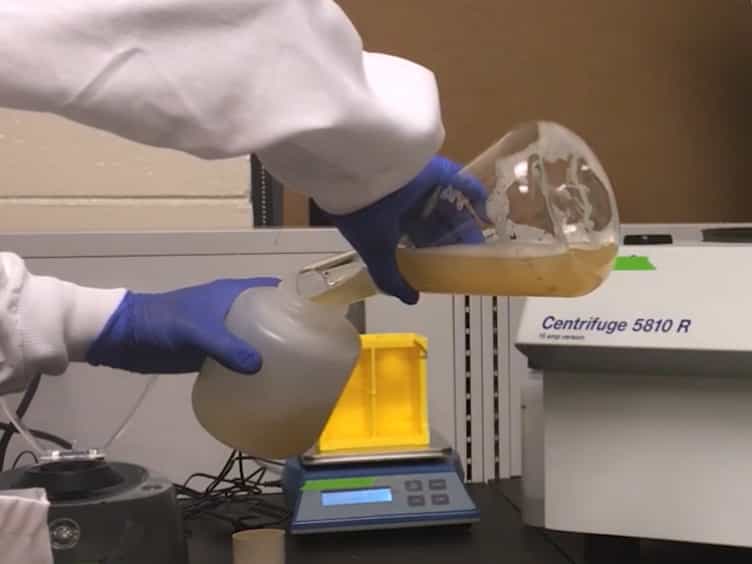 A Facile Protocol to Generate Site-Specifically Acetylated Proteins in Escherichia Coli