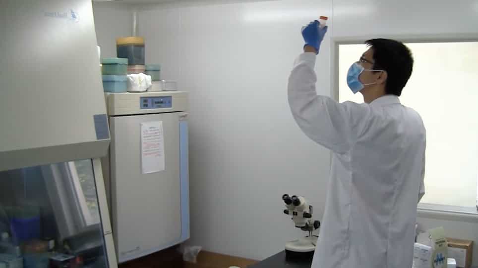 Generation of Monoclonal Antibodies Against Natural Products