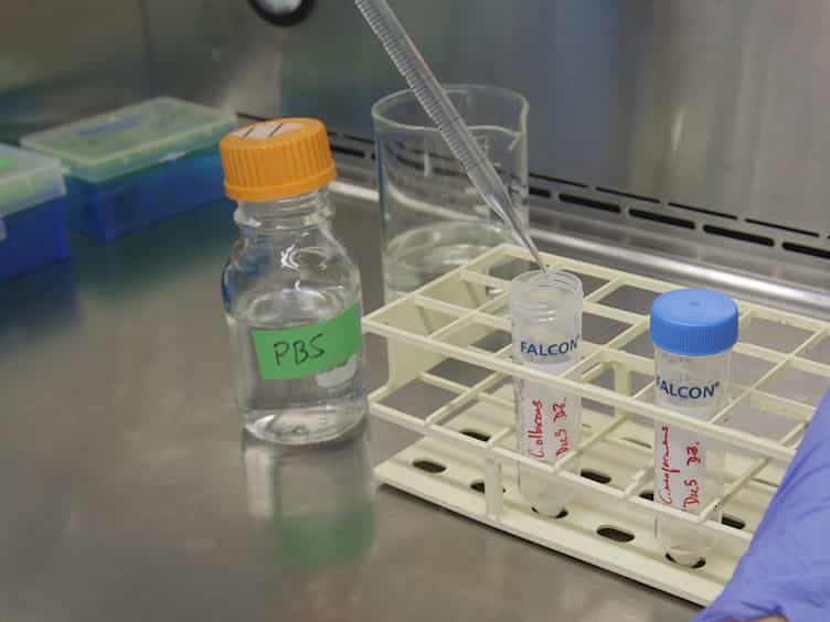 Broth Microdilution In Vitro Screening: An Easy and Fast Method to Detect New Antifungal Compounds