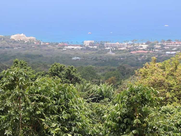 The Hawaii Protocol for Scientific Monitoring of Coffee Berry Borer: a Model for Coffee Agroecosystems Worldwide