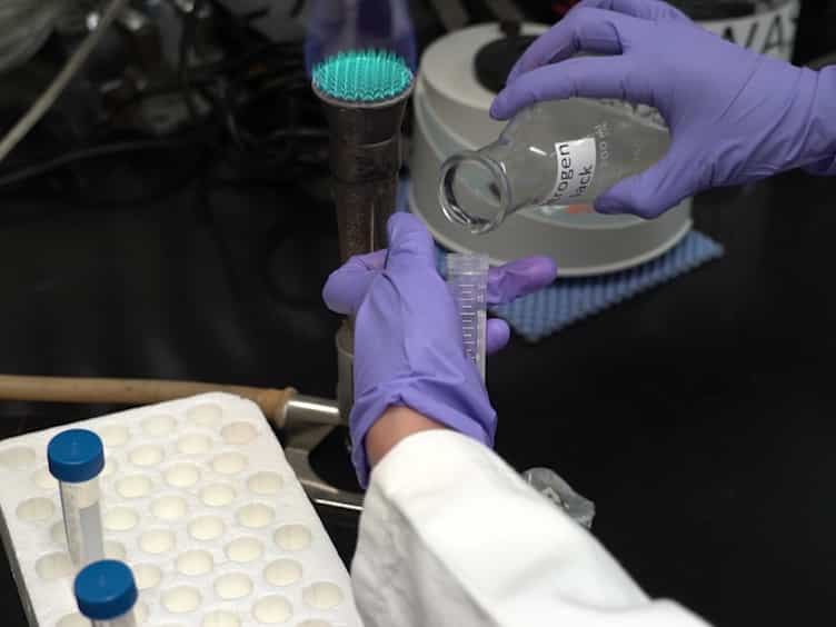 Lipid Index Determination by Liquid Fluorescence Recovery in the Fungal Pathogen Ustilago Maydis