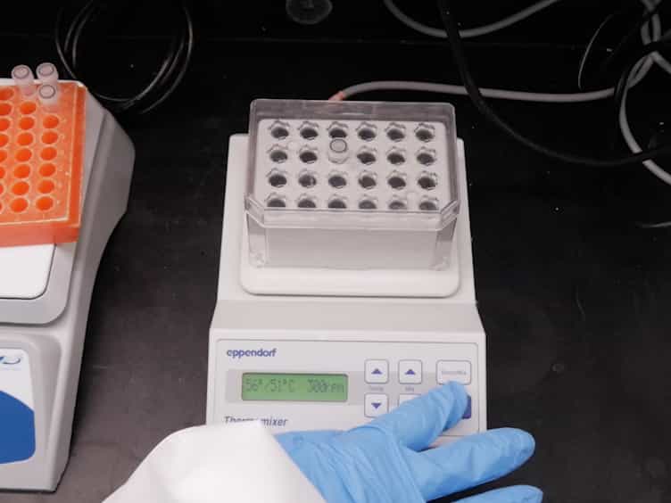 A Simple Flow Cytometry Based Assay to Determine In Vitro Antibody Dependent Enhancement of Dengue Virus Using Zika Virus Convalescent Serum