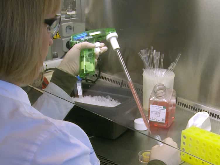Rapid In Vivo Assessment of Adjuvant's Cytotoxic T Lymphocytes Generation Capabilities for Vaccine Development