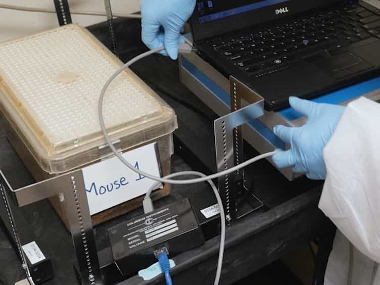 Noninvasive, High-throughput Determination of Sleep Duration in Rodents