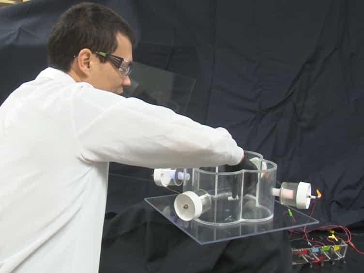 Key Elements of Photo Attraction Bioassay for Insect Studies or Monitoring Programs