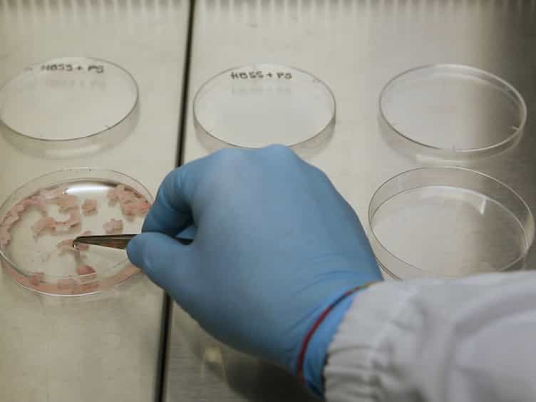 De Novo Generation of Somatic Stem Cells by YAP/TAZ