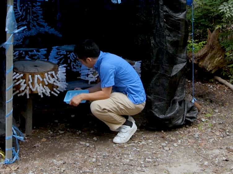 Measuring the Flight Ability of the Ambrosia Beetle, Platypus Quercivorus (Murayama), Using a Low-Cost, Small, and Easily Constructed Flight Mill