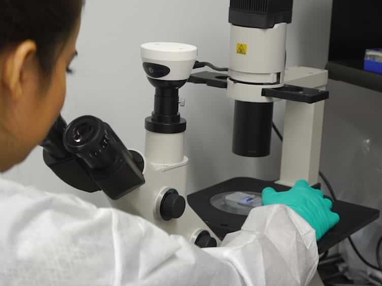 Generation of Human Nasal Epithelial Cell Spheroids for Individualized Cystic Fibrosis Transmembrane Conductance Regulator Study