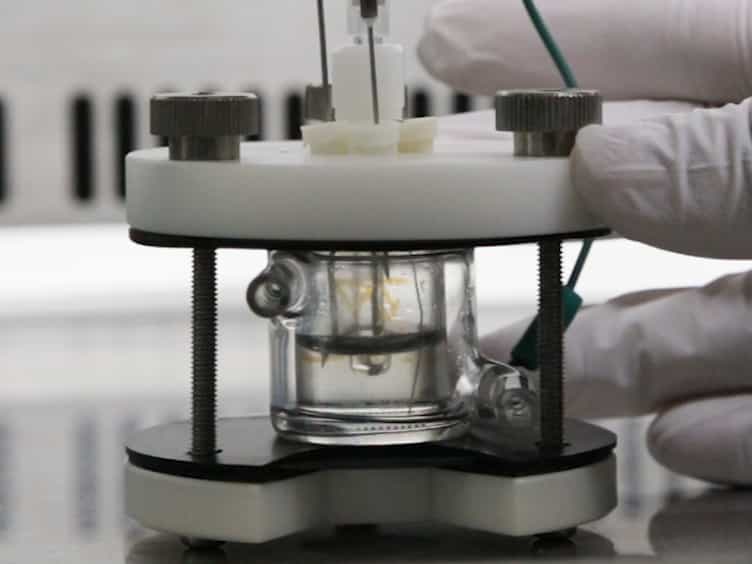 Electrochemical Detection of Deuterium Kinetic Isotope Effect on Extracellular Electron Transport in Shewanella oneidensis MR-1