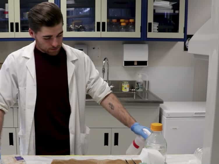 Organotypic Culture Method to Study the Development Of Embryonic Chicken Tissues