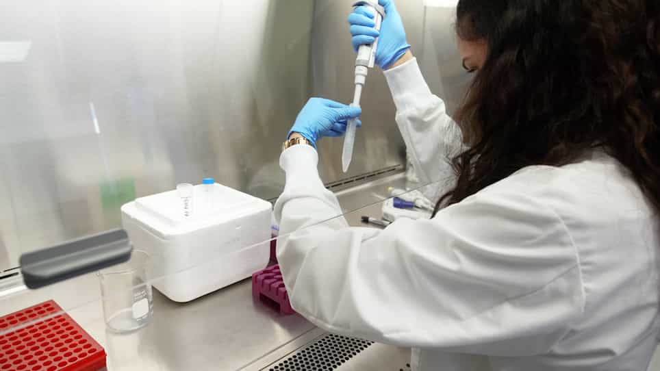 Detection of Small GTPase Prenylation and GTP Binding Using Membrane Fractionation and GTPase-linked Immunosorbent Assay