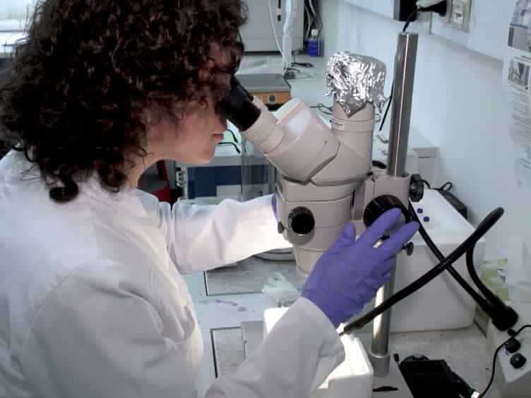 Isolation of Mandibular Gland Reservoir Contents from Bornean 'Exploding Ants' (Formicidae) for Volatilome Analysis by GC-MS and MetaboliteDetector