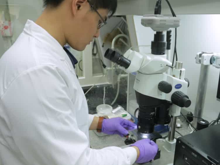 An Efficient Sample Preparation Method to Enhance Carbohydrate Ion Signals in Matrix-assisted Laser Desorption/Ionization Mass Spectrometry