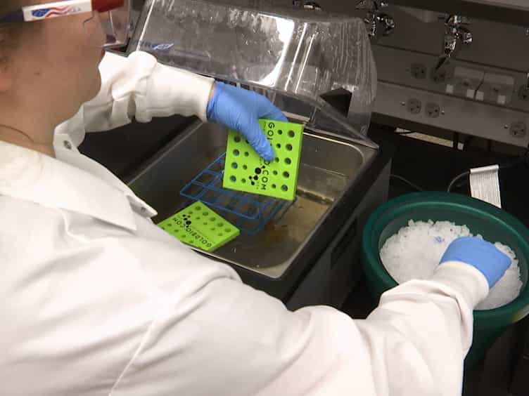 Identification of Cyclin-dependent Kinase 1 Specific Phosphorylation Sites by an In Vitro Kinase Assay