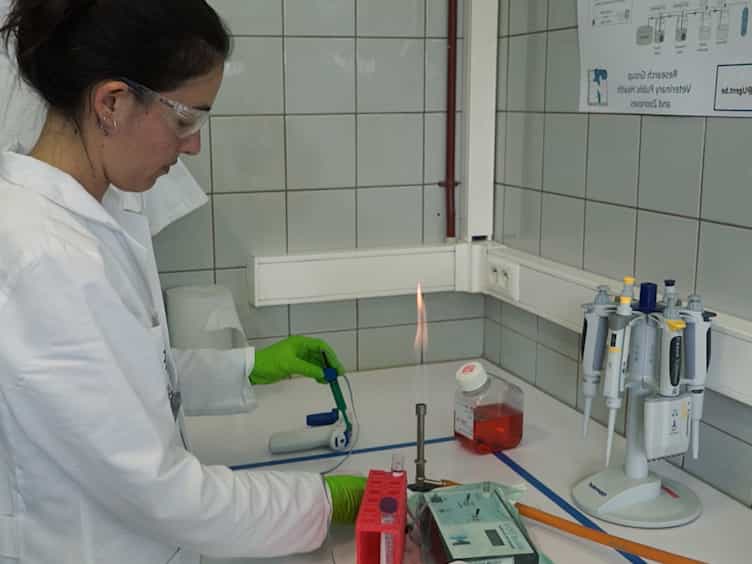 Assessing the Viability of a Synthetic Bacterial Consortium on the In Vitro Gut Host-microbe Interface