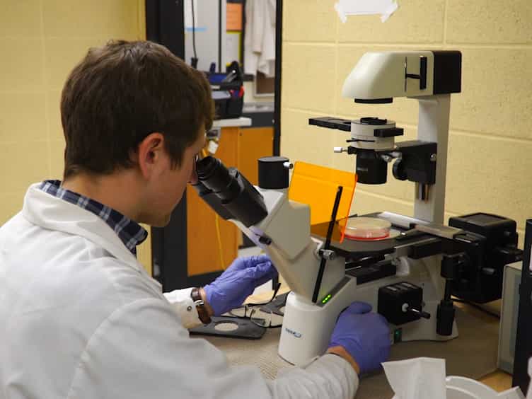 Calorespirometry: A Powerful, Noninvasive Approach to Investigate Cellular Energy Metabolism