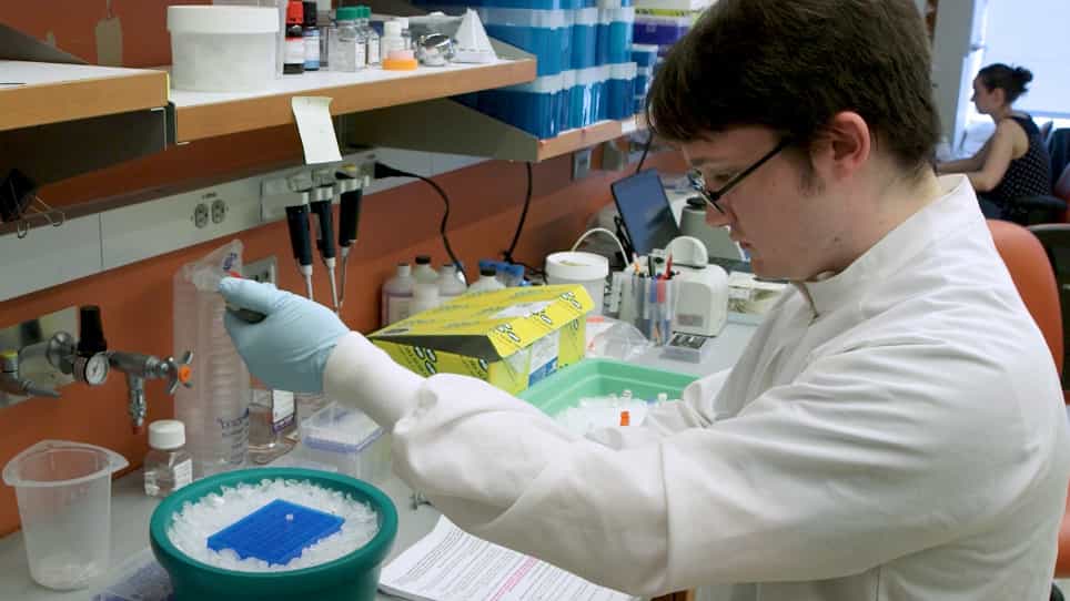 Genome-wide Surveillance of Transcription Errors in Eukaryotic Organisms