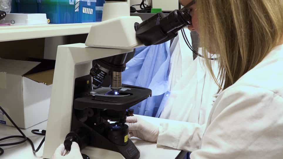 CRISPR/Cas9 Gene Editing to Make Conditional Mutants of Human Malaria Parasite P. falciparum