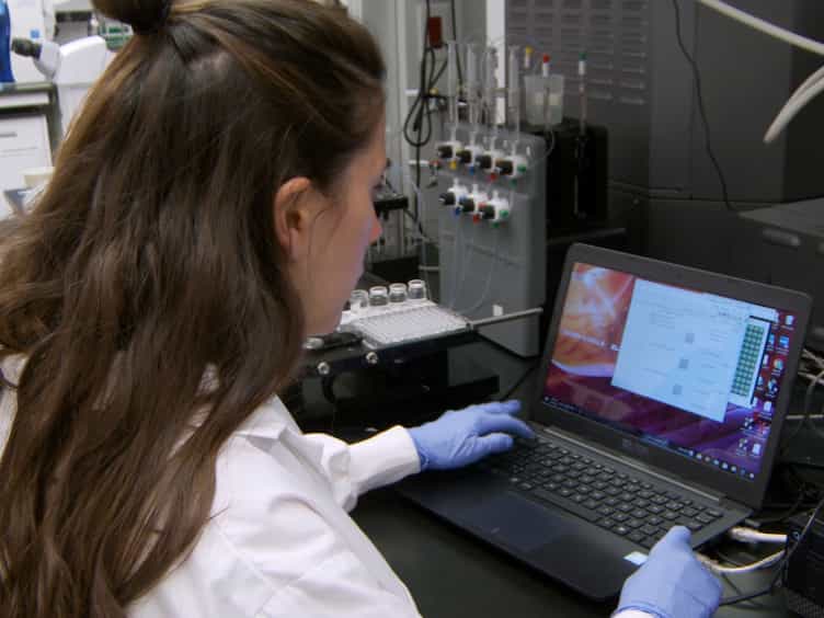 Characterization of Glycoproteins with the Immunoglobulin Fold by X-Ray Crystallography and Biophysical Techniques
