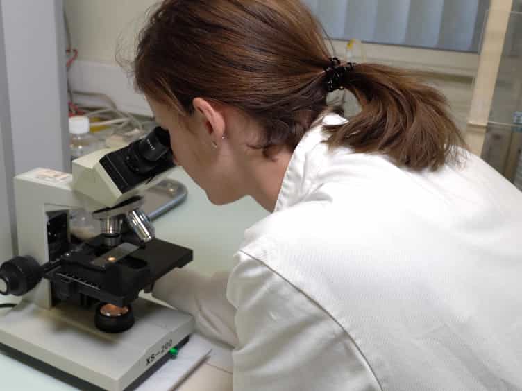 Assessment of Kidney Function in Mouse Models of Glomerular Disease