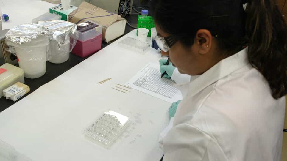 Protocols for Testing the Toxicity of Novel Insecticidal Chemistries to Mosquitoes