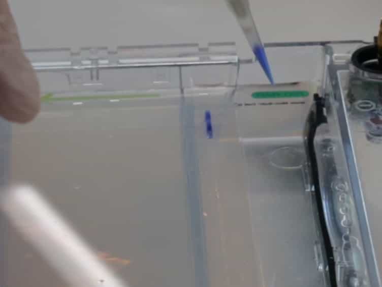Methodology for Accurate Detection of Mitochondrial DNA Methylation