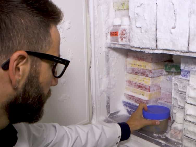 Defined Xeno-free and Feeder-free Culture Conditions for the Generation of Human iPSC-derived Retinal Cell Models