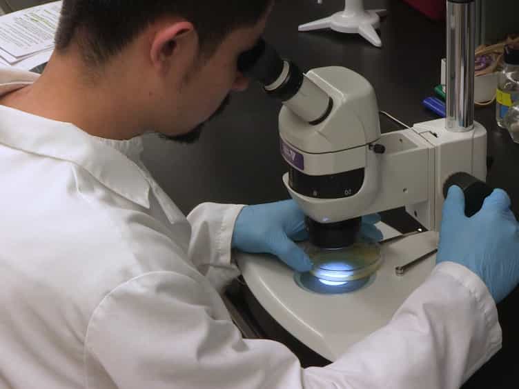 Purification and Reconstitution of TRPV1 for Spectroscopic Analysis