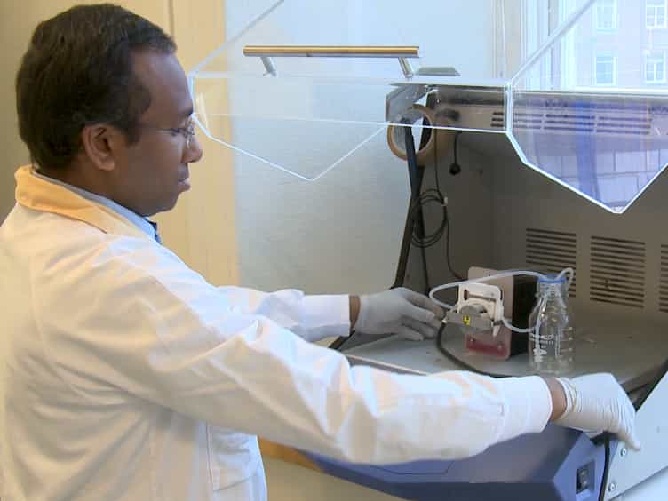 Decellularization and Recellularization Methodology for Human Saphenous Veins