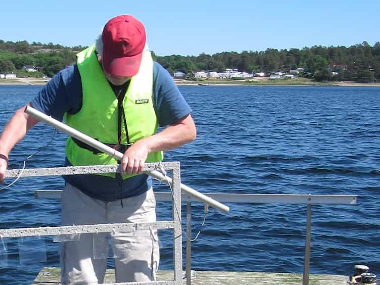 The Barnacle Balanus improvisus as a Marine Model - Culturing and Gene Expression