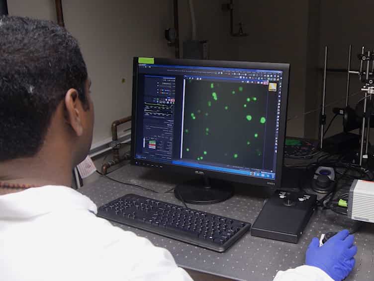 A Rapid Image-based Bacterial Virulence Assay Using Amoeba
