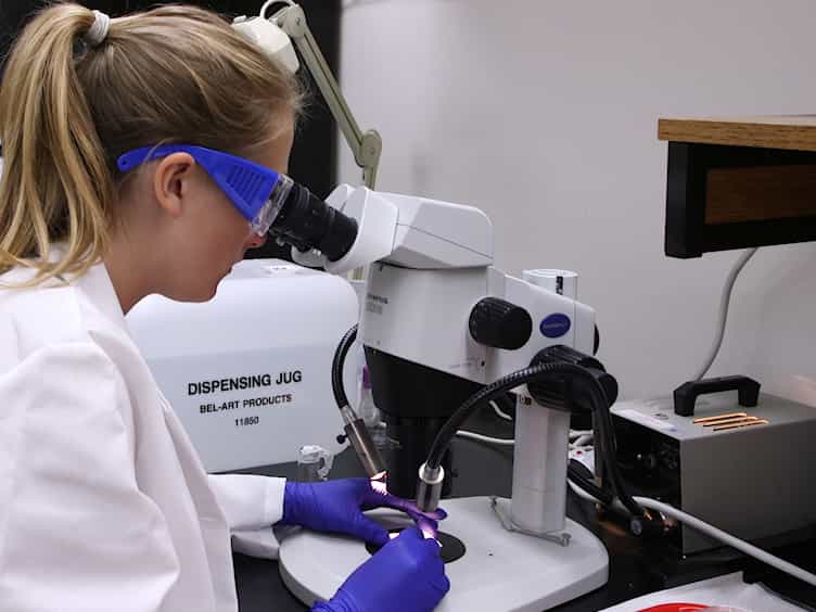 In Vitro Rearing of Solitary Bees: A Tool for Assessing Larval Risk Factors