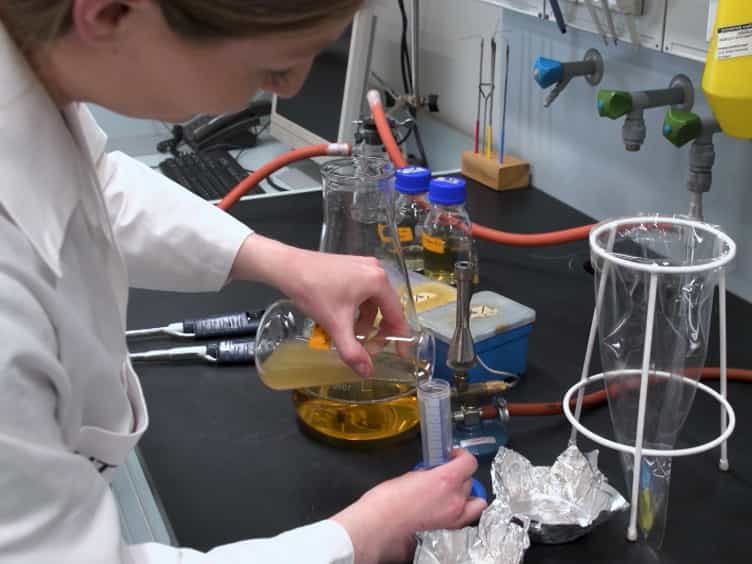 In Situ Measurement and Correlation of Cell Density and Light Emission of Bioluminescent Bacteria