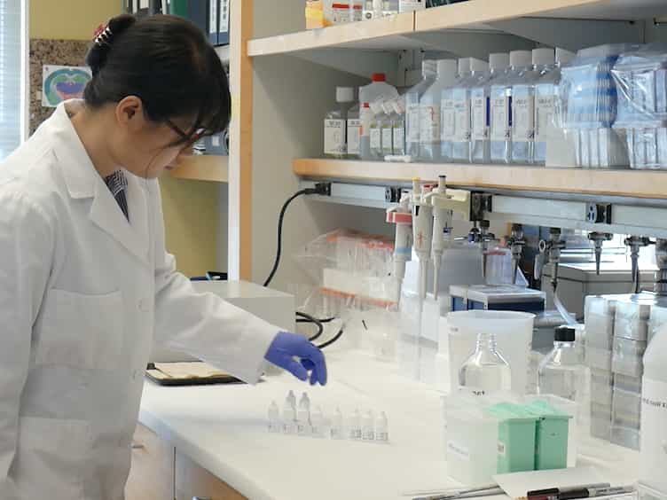 Quantitative Analysis of Alternative Pre-mRNA Splicing in Mouse Brain Sections Using RNA In Situ Hybridization Assay
