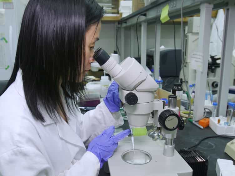 Detecting Protein Subcellular Localization by Green Fluorescence Protein Tagging and 4',6-Diamidino-2-phenylindole Staining in Caenorhabditis elegans