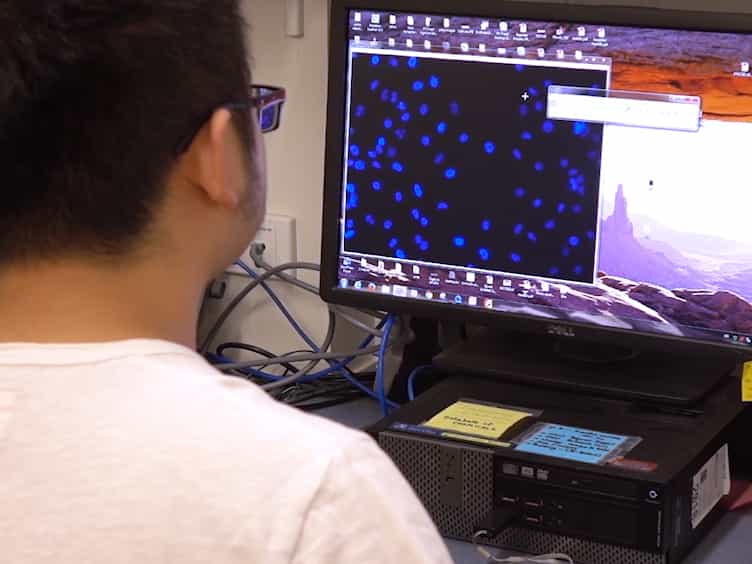 Live Cell Imaging of the TGF- β/Smad3 Signaling Pathway In Vitro and In Vivo Using an Adenovirus Reporter System