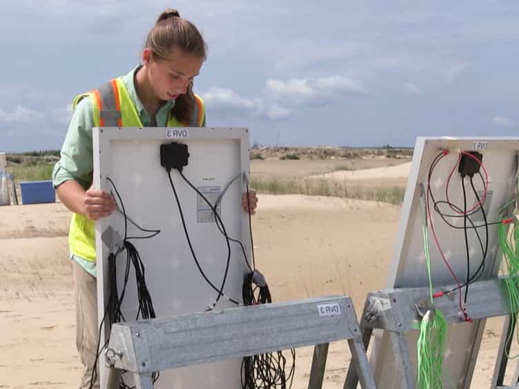 A Video Surveillance System to Monitor Breeding Colonies of Common Terns (Sterna Hirundo)