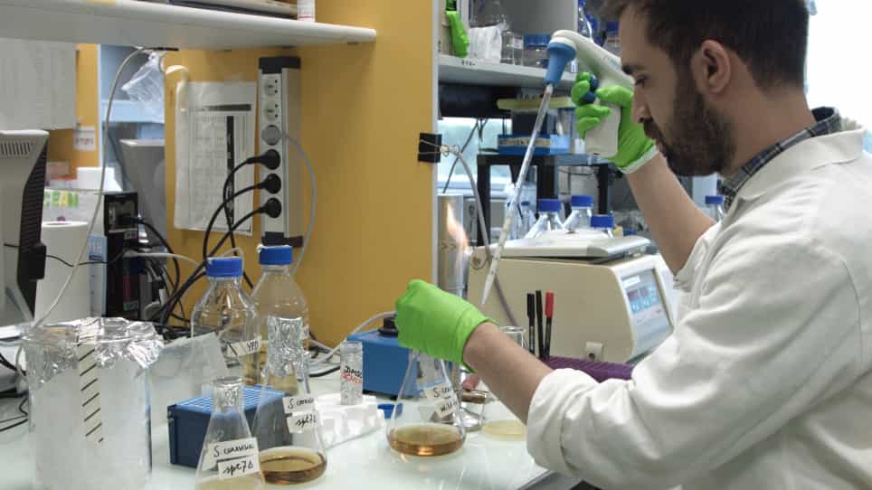 Saccharomyces cerevisiae Metabolic Labeling with 4-thiouracil and the Quantification of Newly Synthesized mRNA As a Proxy for RNA Polymerase II Activity